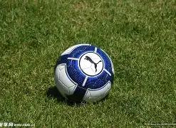 中国业余队,际公开赛高,尔夫赛事启,太阳城网站,娱乐游戏,彩票投注,高品质平台,线上游戏,用户体验