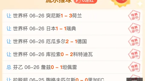 2026世界杯预测用户体验：75胜50负，精准命中32场比分解析，欧青赛事攻略